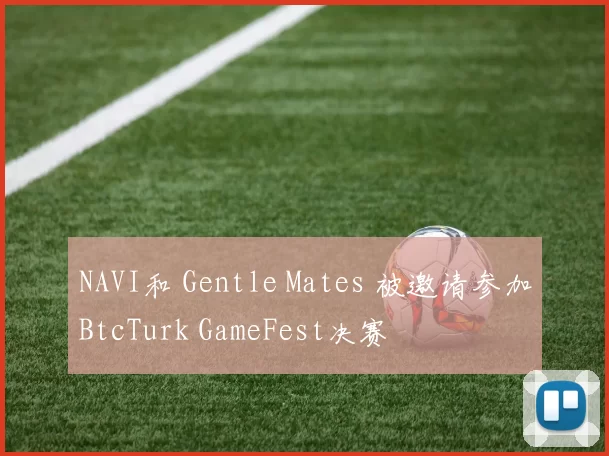 NAVI和 Gentle Mates 被邀请参加BtcTurk GameFest决赛