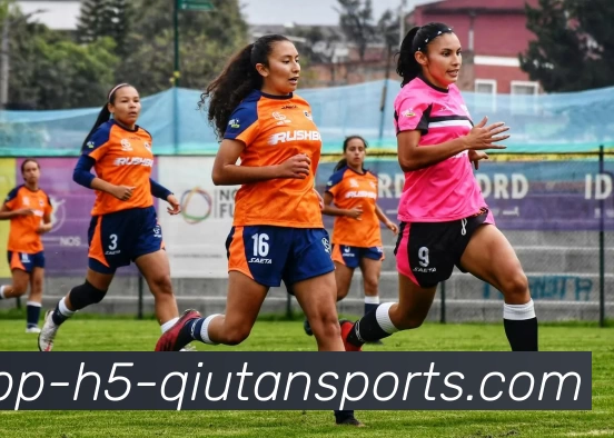 球探比分平台生态图